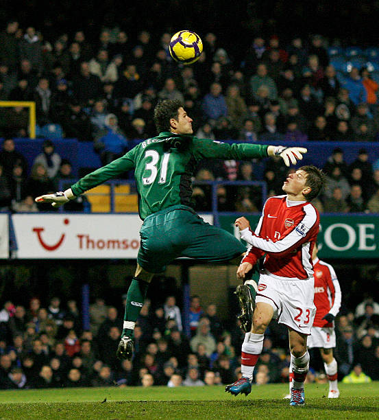 的带领下 的带领下