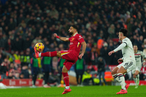 会错失一份 会错失一份