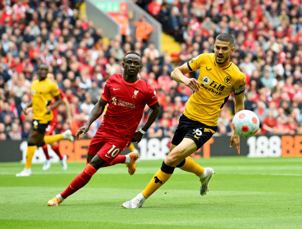 养向来有独 养向来有独