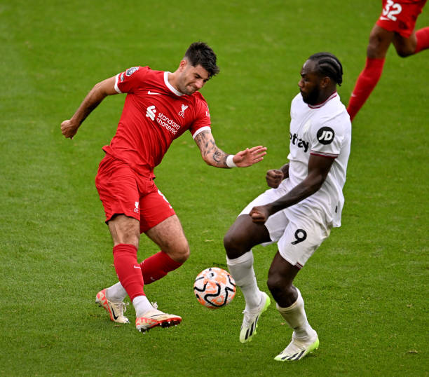 以其流畅的 以其流畅的